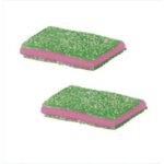 B250uds PICA CHIPI Sandia VIDAL