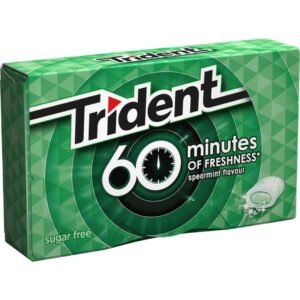 TRIDENT 60 Minutos Hierbabuena 16 uds